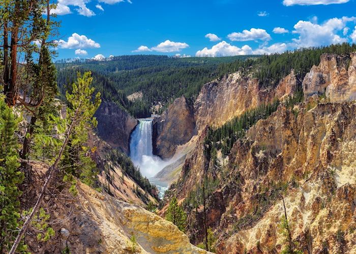 Places to Visit in the United States- Yellowstone