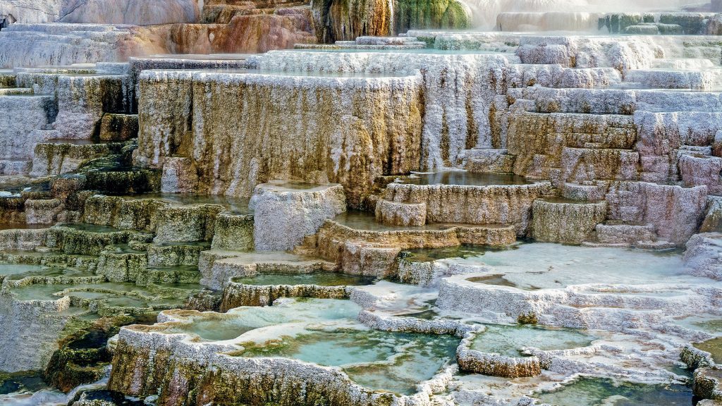 Browse Through Mammoth Hot Springs