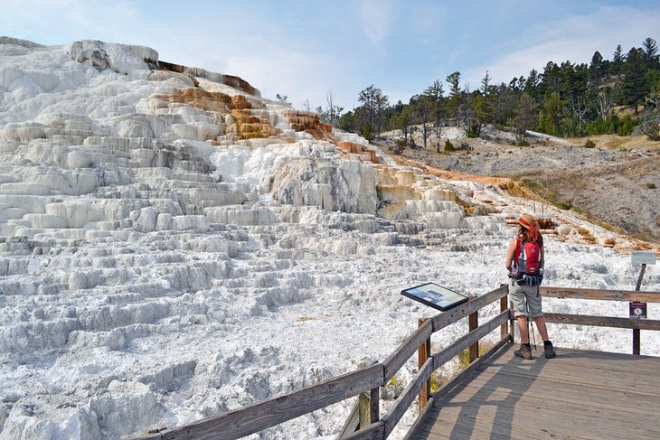 montana gardiner top things to do visit mammoth hot springs